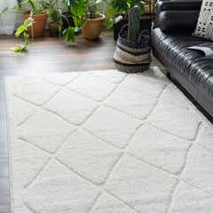 Trellis Shag Rugs