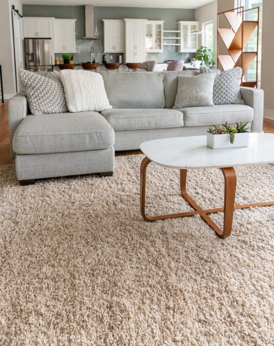 Rugs, Discount Area Rugs on Sale eSaleRugs