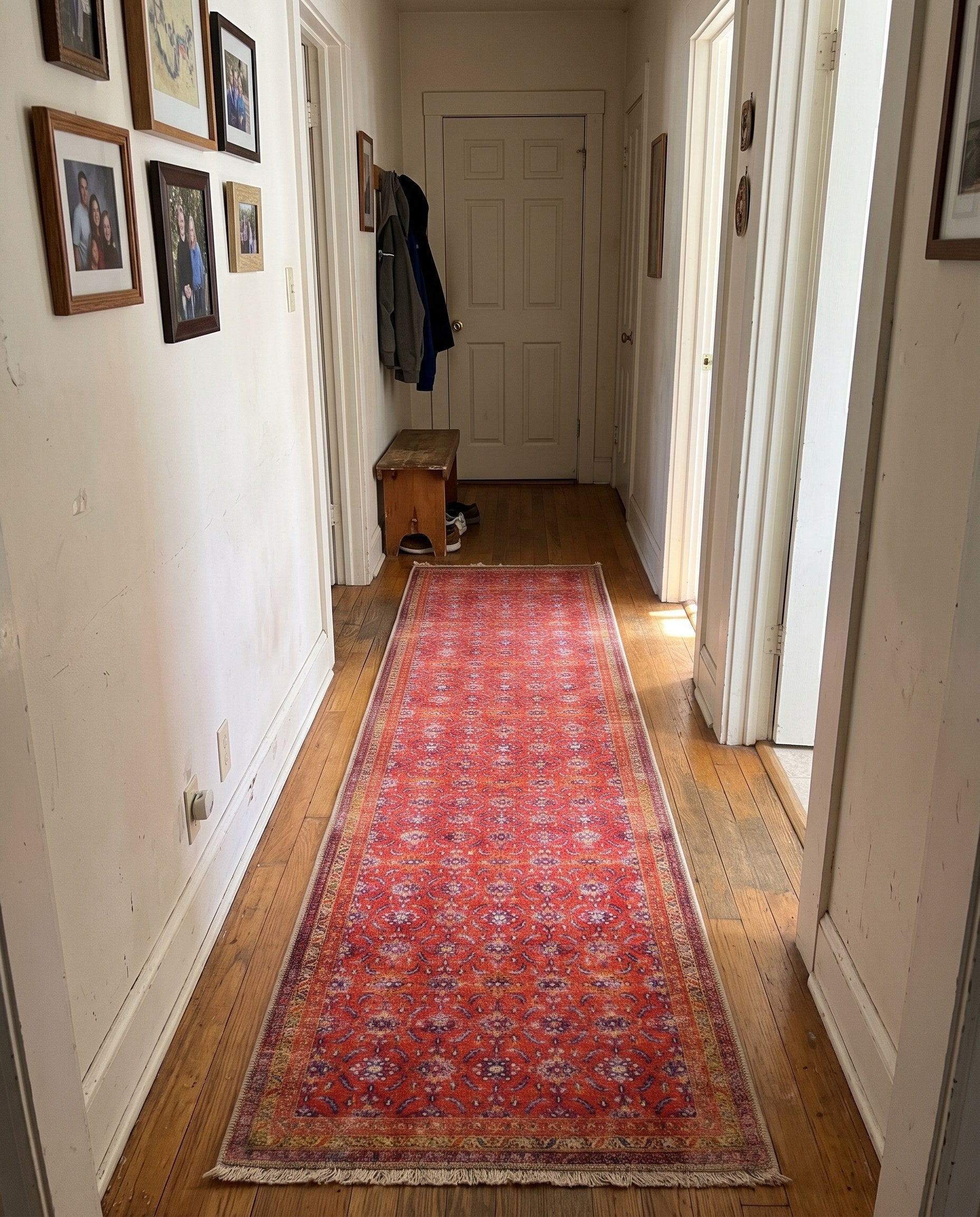 2' 6 x 12' Carew · Border Washable Rug, red