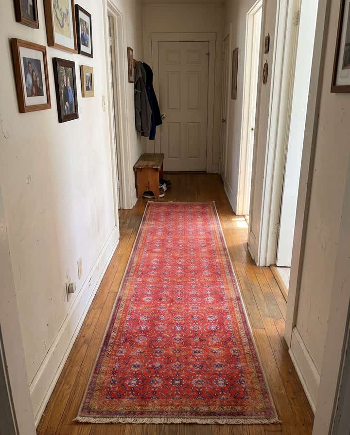 2' 6 x 12' Carew · Border Washable Rug, red