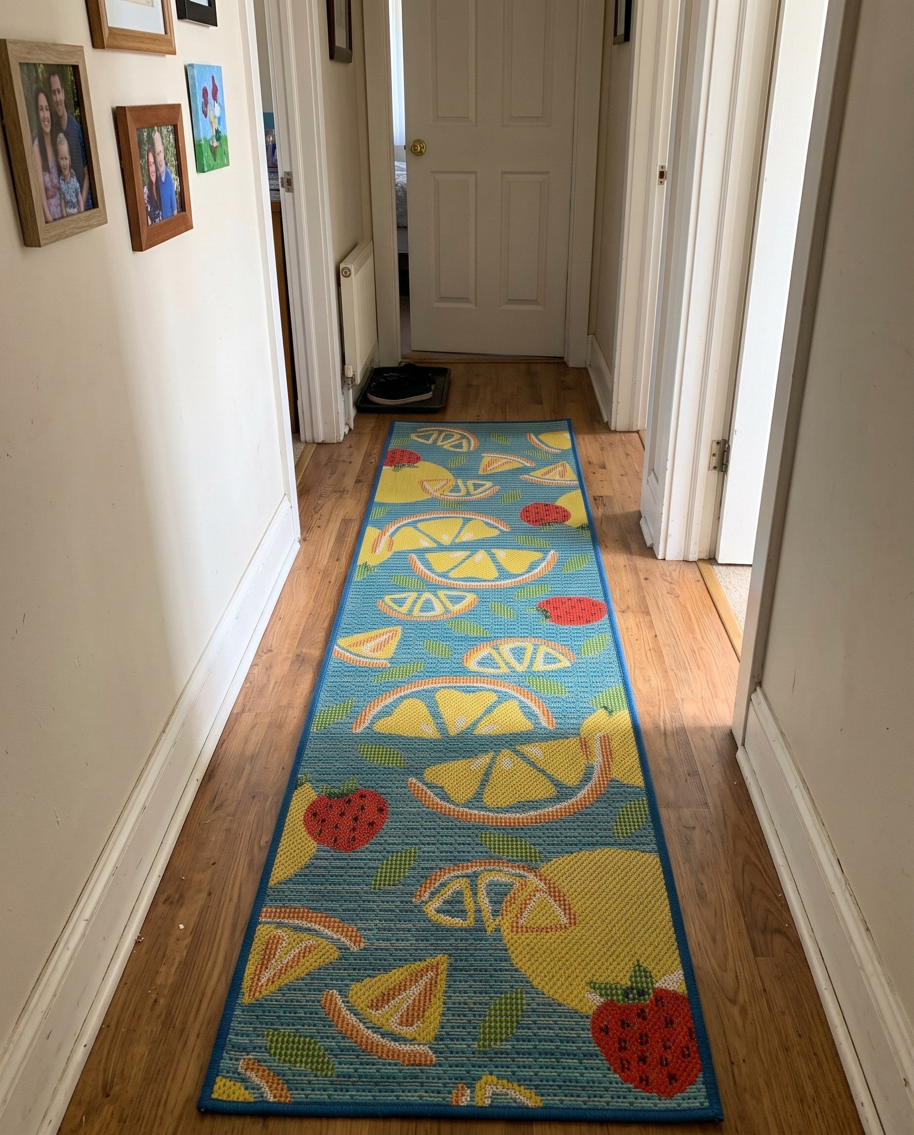2' 7 x 12' Masterson · Citrus fruit Outdoor Rug, blue and yellow