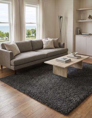 Graphite Gray Solid Shag Rug