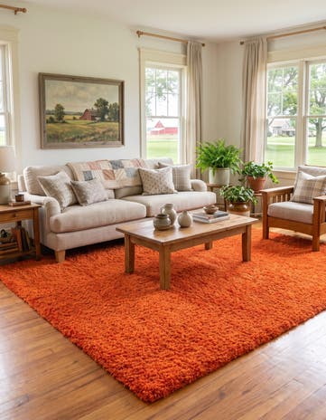 7' 10 x 11' Solid Shag Rug