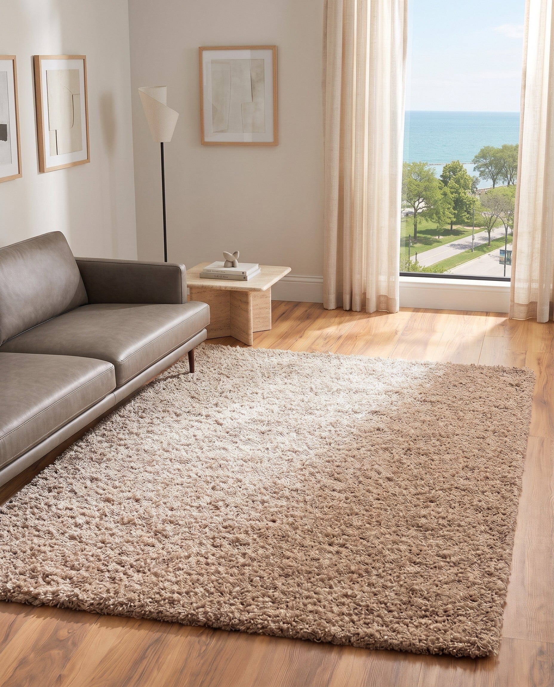 3' x 5' 3 Solid Shag Rug