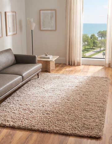3' x 5' 3 Solid Shag Rug