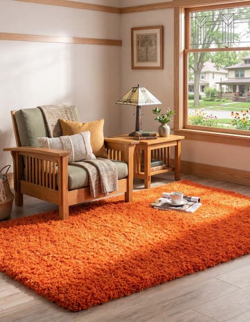 3' x 5' 3 Solid Shag Rug