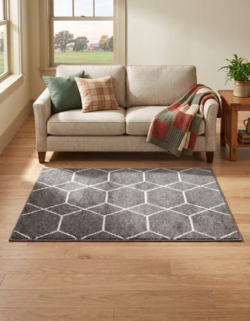 3' x 5' 3 Lattice Frieze Rug