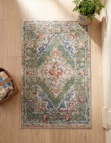 2' x 3' Isabella Rug