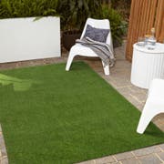 Grass