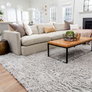 Living Room Rugs