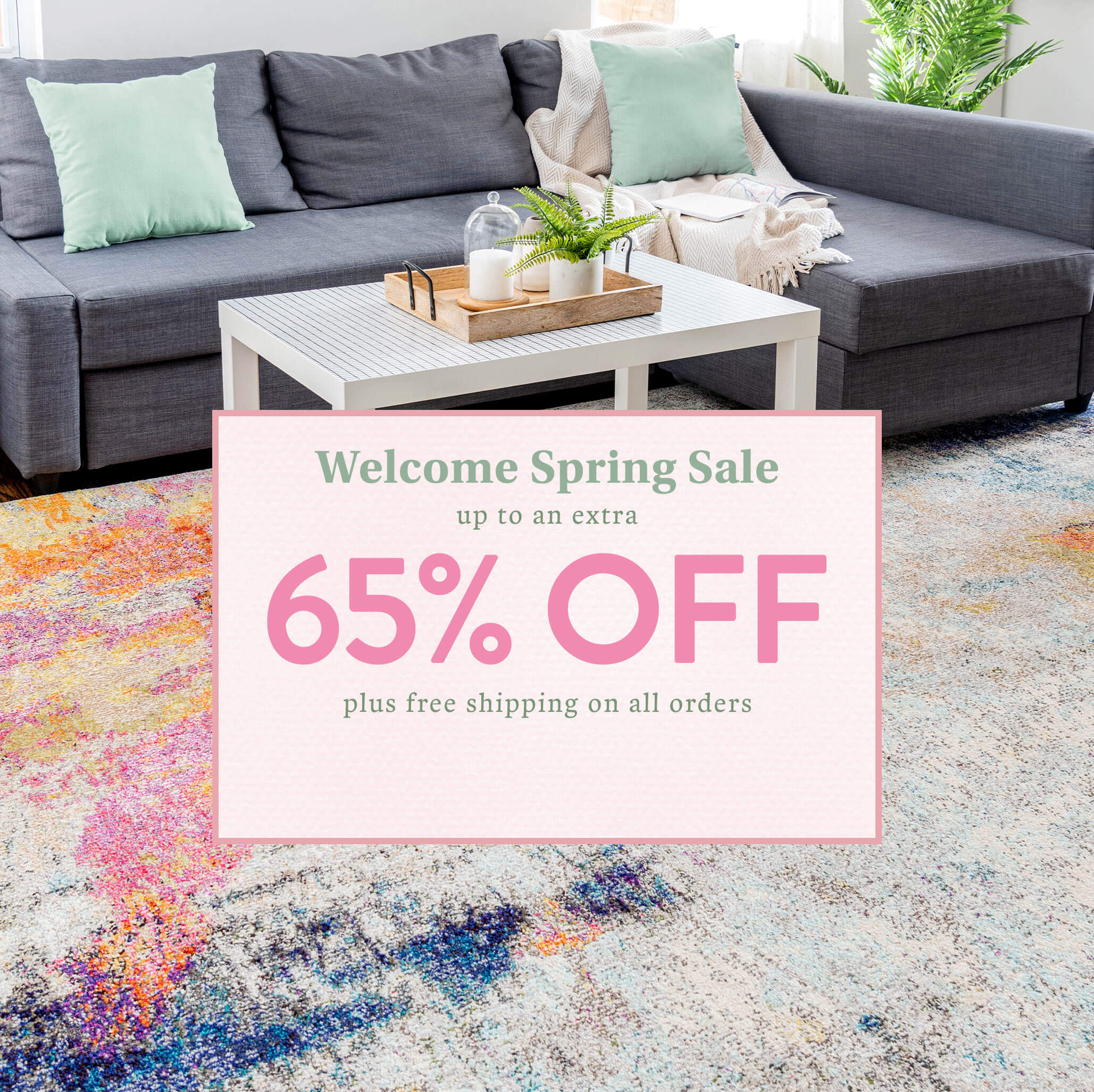 Rugs, Discount Area Rugs on Sale iRugs NZ