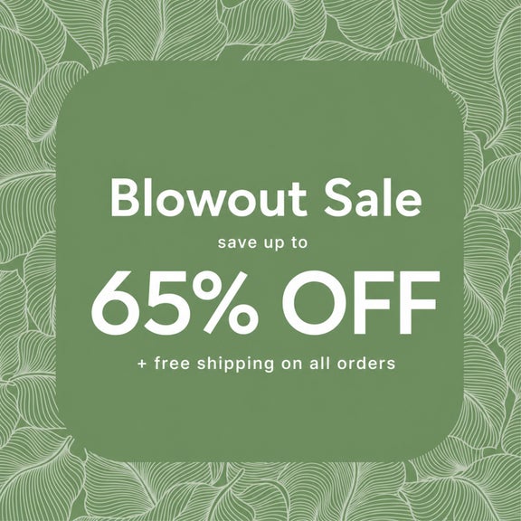 Blowout Sale