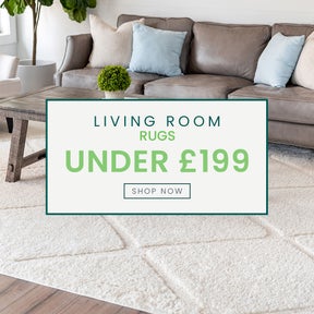 Living room rugs under 199