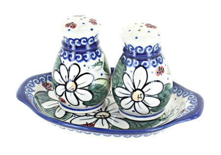 Vena Ladybug Salt & Pepper Shaker — Polish Pottery