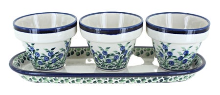 Zaklady Porcelain Vine Décor — Polish Pottery
