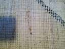 Review photo 3