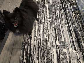 Customer photo for review titled "Not actually black"