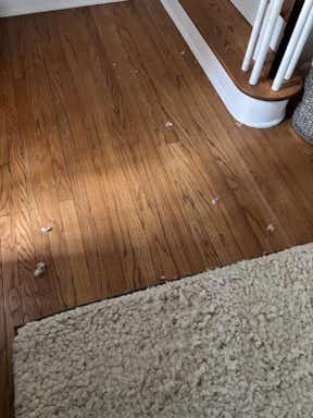 Customer photo for review titled "Beautiful and soft but SHEDS like crazy"