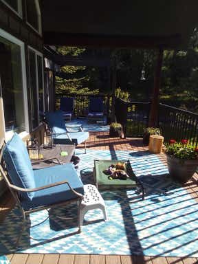 Customer photo for review titled "Beautiful and easy to take care of."