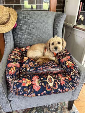 Customer photo for review titled "Fancy"