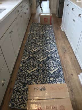 Customer photo for review titled "Lovely Runner"