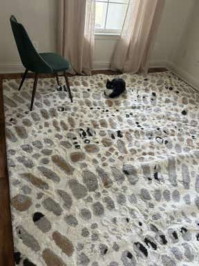 Customer photo for review titled "Amazing quality for the price"