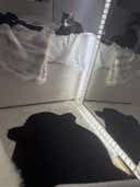 Review photo 1