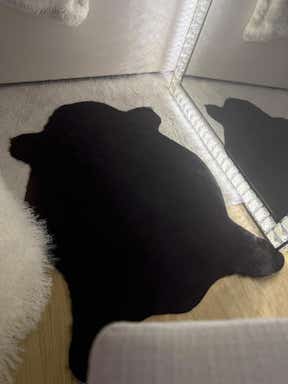 Customer photo for review titled "I absolutely love it"