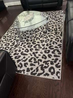 Customer photo for review titled "Indoor outdoor beauty"