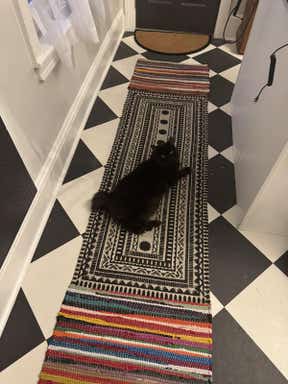Customer photo for review titled "Beautiful runner"