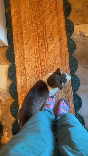Customer photo for review titled "Cute!"