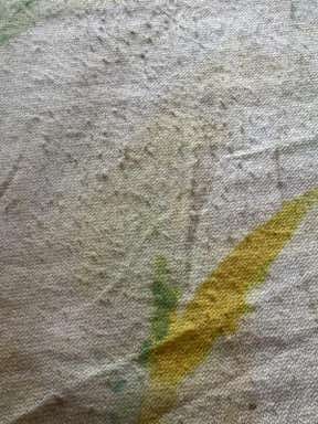 Customer photo for review titled "Pilled and looks so worn already after 2 weeks"