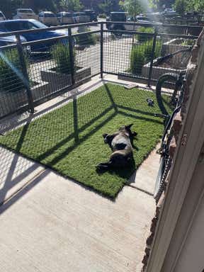 Customer photo for review titled "Rug"