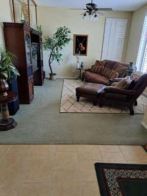 Customer photo for review titled "Love our New Rug"