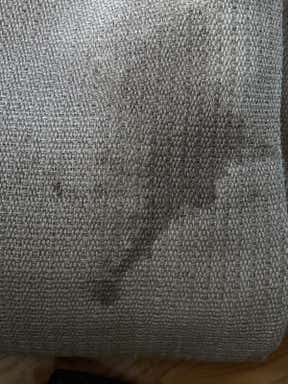 Customer photo for review titled "My Favorite Rug’s Color"