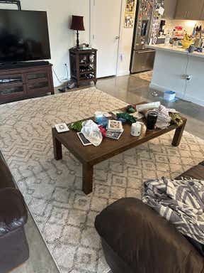 Customer photo for review titled "Love this rug!"