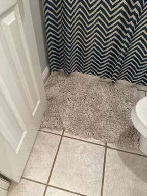 Customer photo for review titled "Soft fluffy rug!"