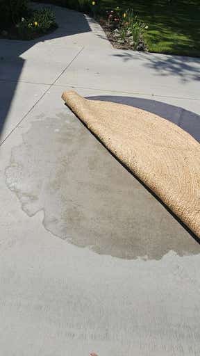 Customer photo for review titled "Rug came wrapped in plastic holding moisture"