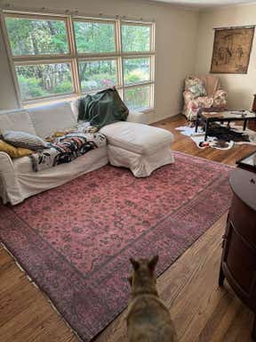 Customer photo for review titled "so happy"