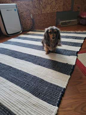 Customer photo for review titled "Makes a lovely cushion full if beauty"