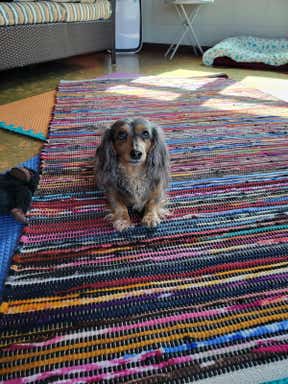 Customer photo for review titled "Makes a lovely cushion full if beauty"