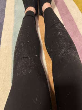 Customer photo for review titled "Love the Rug but Sheds"