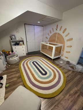 Customer photo for review titled "Love the Rug but Sheds"