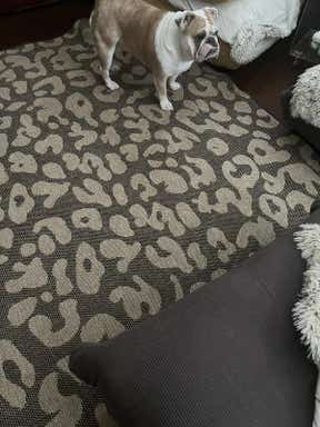 Customer photo for review titled "Beautiful rug"
