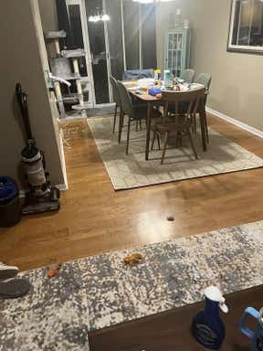 Customer photo for review titled "Perfect neutral"