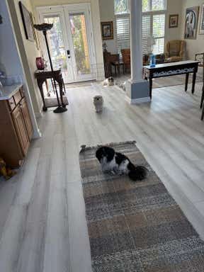 Customer photo for review titled "Four star washable eco plaid rug"