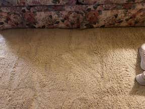 Customer photo for review titled "Shag rug"