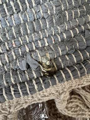 Customer photo for review titled "Rug is not light grey"