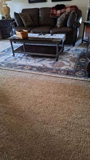 Customer photo for review titled "Lovely and hard working."