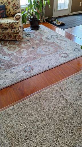 Customer photo for review titled "Lovely and hard working."